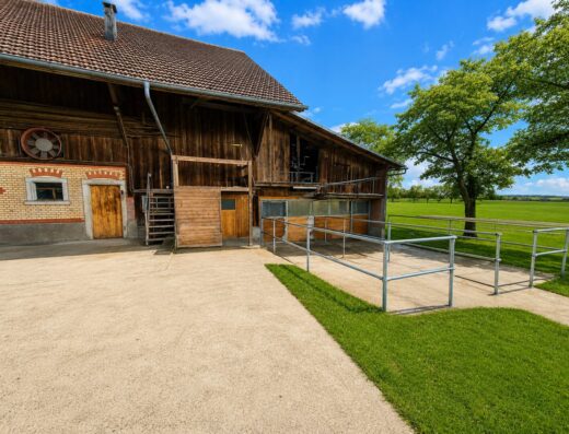 Selbstversorger Stall für zwei Pferde in der Nähe von Zihlschlacht