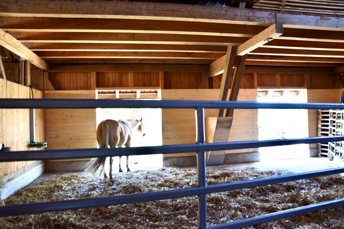 Stall Käch