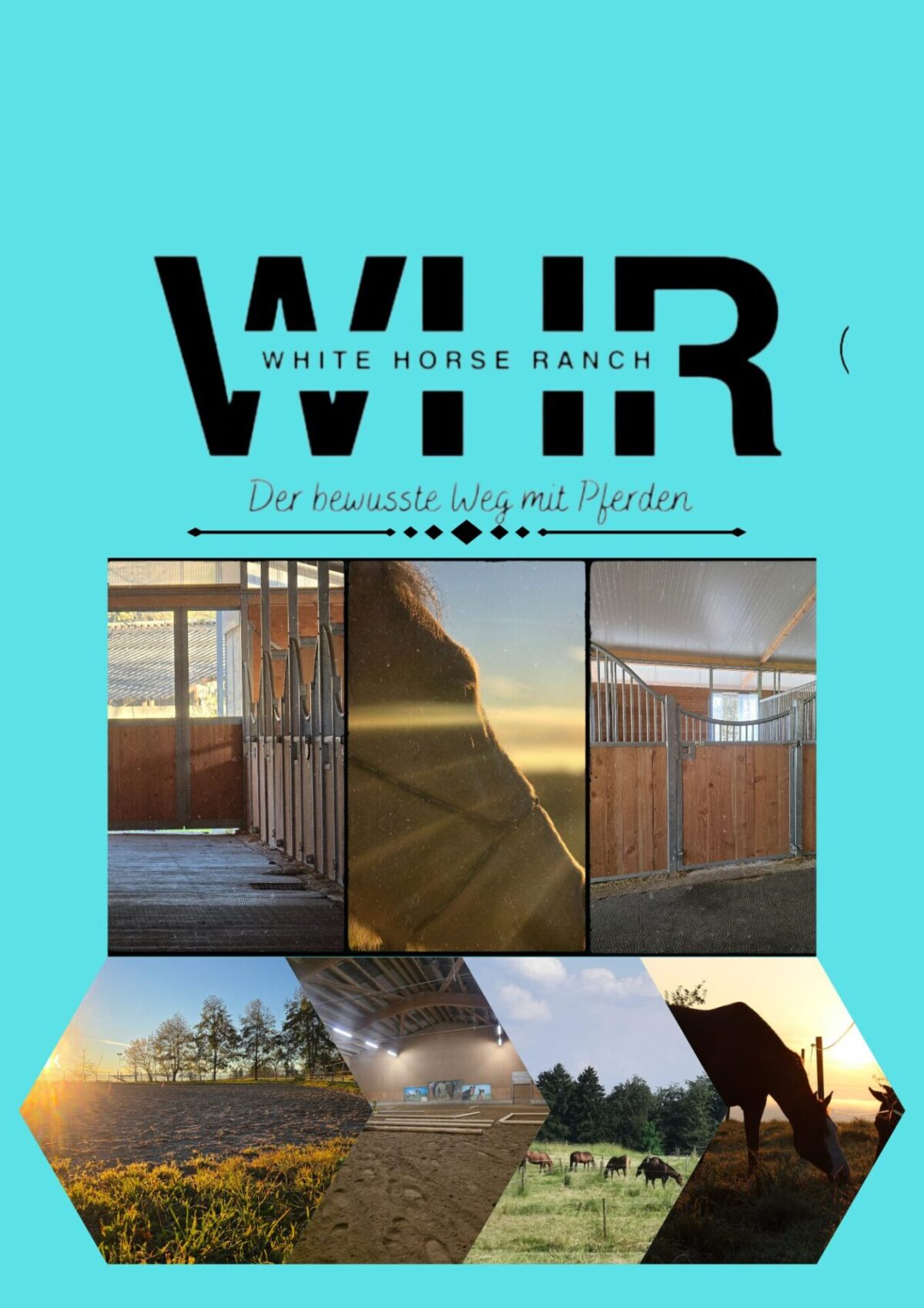 White Horse Ranch