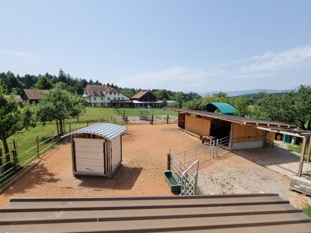 Offenstall auf Bauernhof